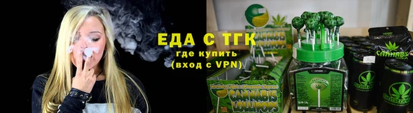 гашик Няндома