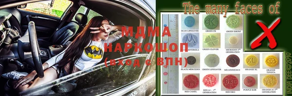 гашик Няндома