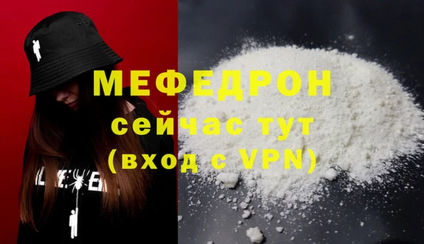 гашик Няндома