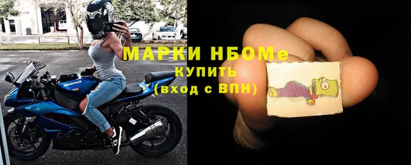 гашик Няндома